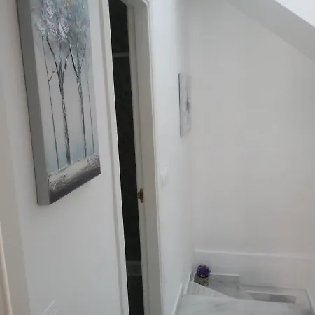 Rotasol